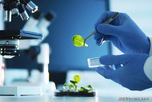 留學馬來西亞 生物技術與生物技術開發，如何區分這對“雙胞胎”專業？