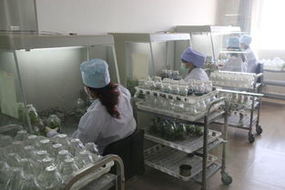 駐馬店地區(qū)考察團(tuán)對西夏王葡萄酒產(chǎn)品質(zhì)量和市場營銷給予了高度評價(jià)